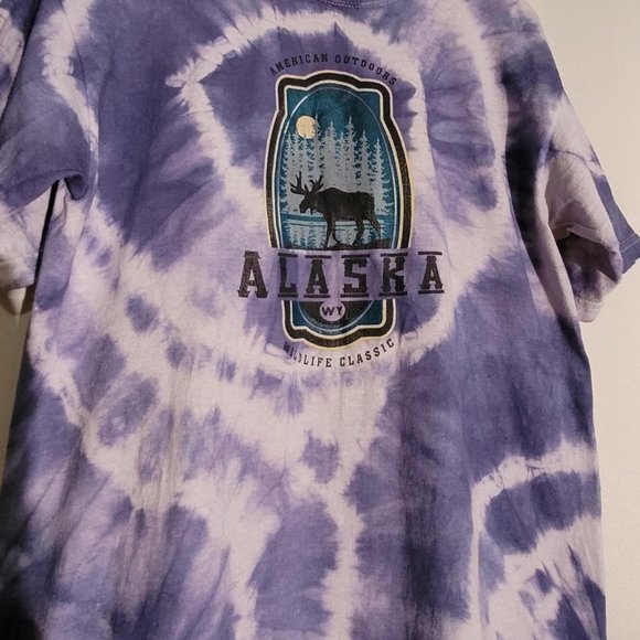 ALASKA WY - Picture 3 of 4